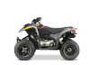 polaris phoenix 200 bok
